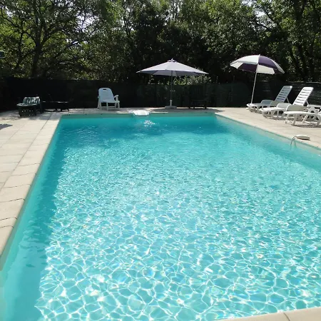 Basilic Avec Piscine En Sud Ardèche *